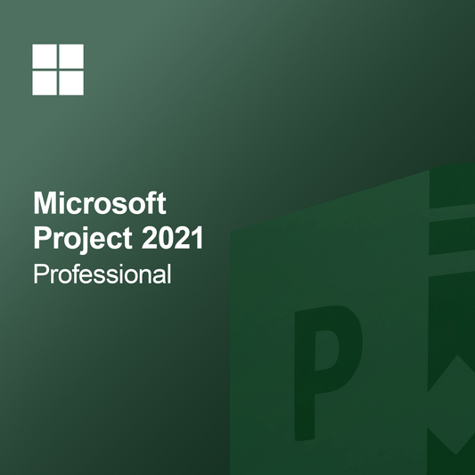 Microsoft Project 2021 Profesyonel