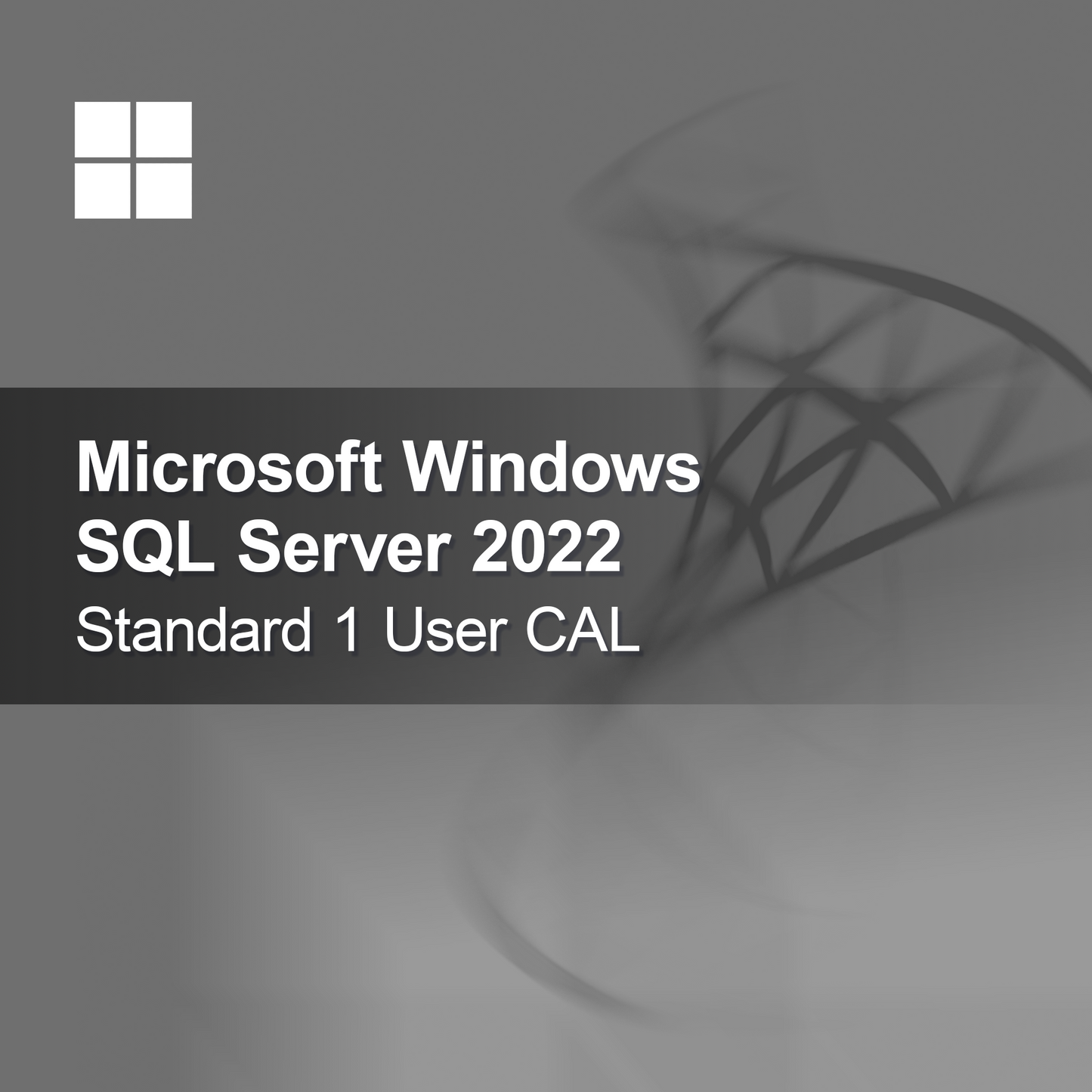 Microsoft SQL Server 2022 Standard 1 Usuário CAL