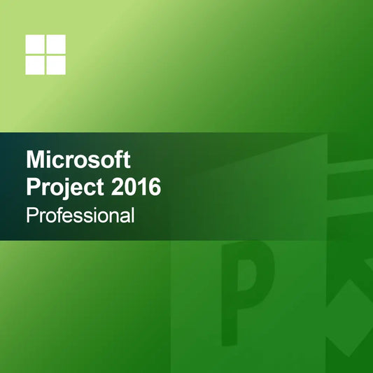 Microsoft Project 2016 Professionell