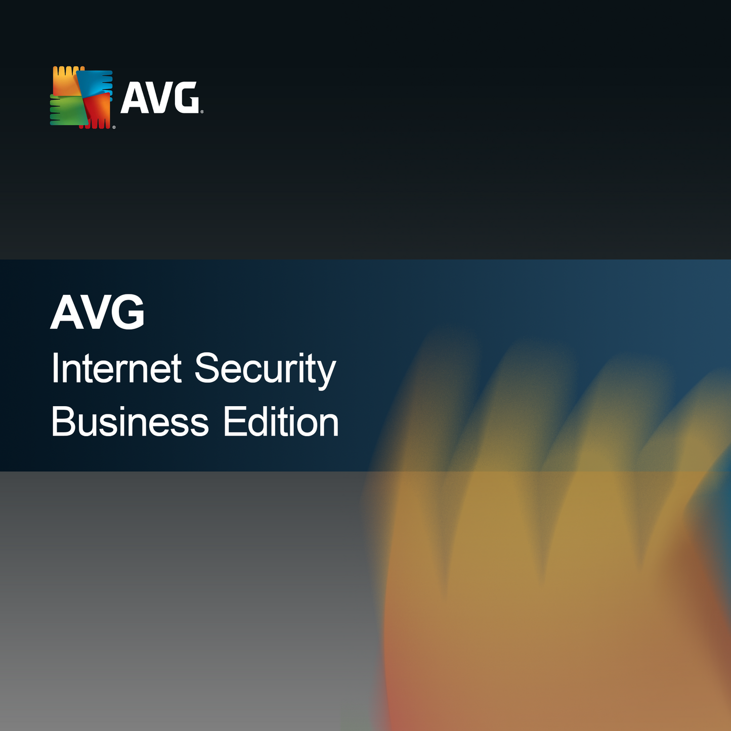 AVG Securitate Internet Ediția Business