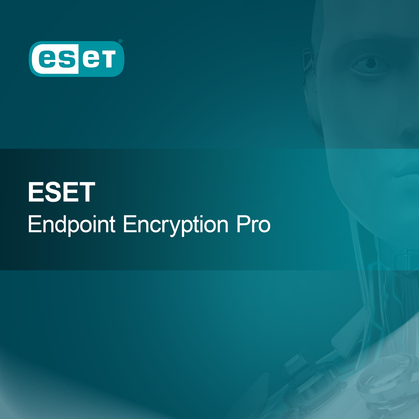 ESET Enkripsi Titik Akhir Pro