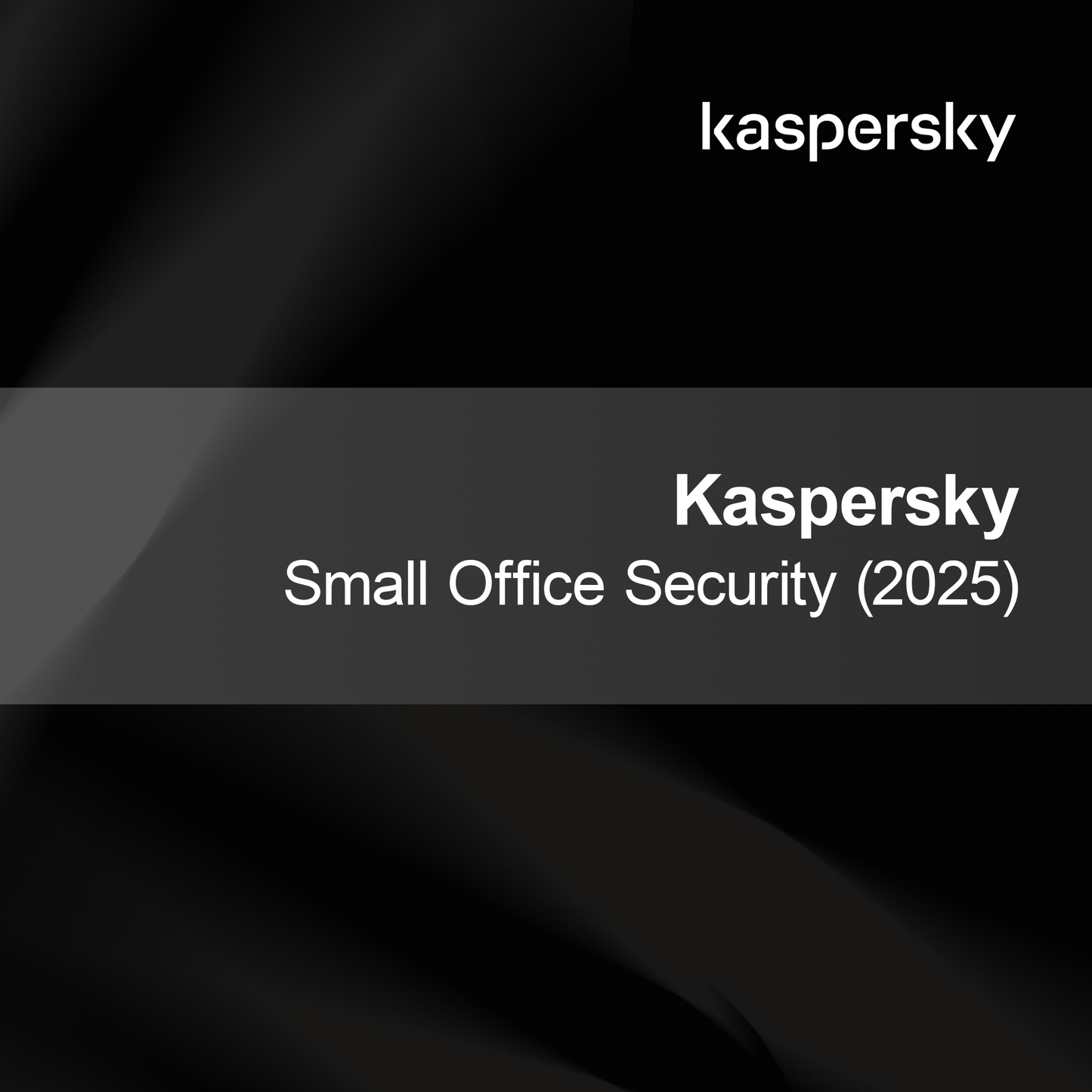 Kaspersky Keamanan Kantor Kecil (2025)